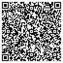 QR code with Premier Shell contacts