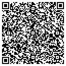 QR code with Precision Autohaus contacts