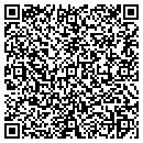 QR code with Precise Reporting Inc contacts
