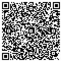 QR code with Mcg Co contacts