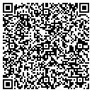 QR code with Carpet Plus & Design contacts
