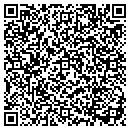 QR code with Blue Air contacts