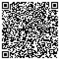 QR code with Kesega contacts