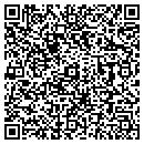 QR code with Pro Tec Intl contacts