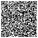 QR code with C F O Services Inc contacts