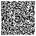 QR code with Ziggys contacts