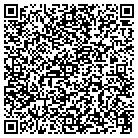 QR code with Public Consulting Group contacts