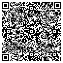 QR code with Pronetric Consulting contacts