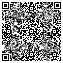 QR code with Precision Services contacts