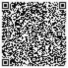 QR code with Pulaski District Office contacts