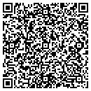 QR code with Premier Parking contacts
