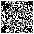 QR code with Pyramid Recording contacts