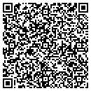 QR code with Carls Construction contacts