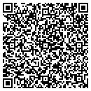 QR code with Pyramid Hotwings contacts