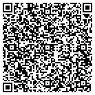 QR code with Public Safety Systems contacts