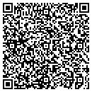 QR code with Precise Reporting Inc contacts