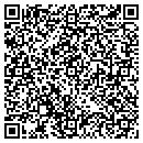 QR code with Cyber Sciences Inc contacts