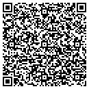 QR code with Princeton Softech contacts