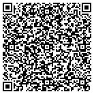 QR code with Platinum Image Concepts contacts