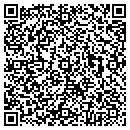 QR code with Public Works contacts