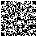 QR code with Prince Paving Inc contacts
