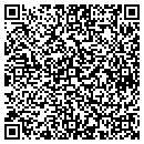 QR code with Pyramid Computers contacts