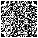 QR code with Carpet Store & More contacts