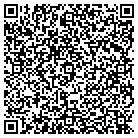 QR code with Capitol Consultants Inc contacts
