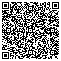QR code with P Gnehm contacts