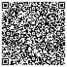 QR code with Pulaski Small Engine contacts