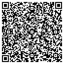 QR code with Professional Towing contacts