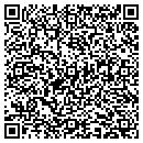 QR code with Pure Logic contacts