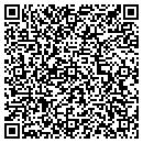 QR code with Primitive Art contacts