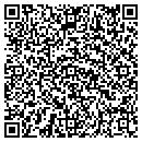 QR code with Pristine Pools contacts