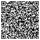 QR code with Process Express USA contacts
