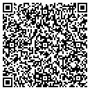 QR code with Pro Page HPI contacts