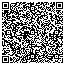 QR code with Precision Kites contacts