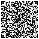 QR code with Pseudo-Assistant contacts