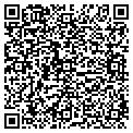 QR code with Amoq contacts