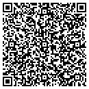 QR code with BSI Instruments contacts
