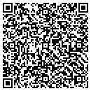 QR code with Colin's Custom Colors contacts