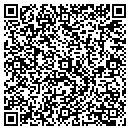 QR code with Bizdevex contacts