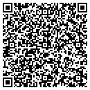 QR code with Cybervision Corp contacts