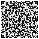 QR code with Productivity Systems contacts