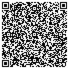QR code with Professional Window Tint contacts