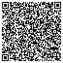 QR code with Pubilc Works contacts