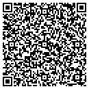 QR code with Pro Source One contacts