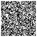QR code with Pristine Solutions contacts