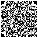 QR code with Pyrocom Systems Inc contacts