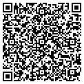 QR code with C Gemz contacts